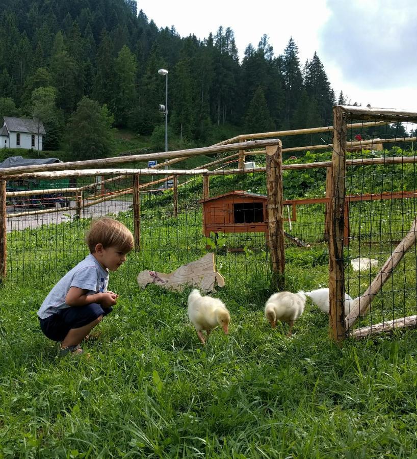 피에라디프리미에로 Agritur Broch 빌라 외부 사진